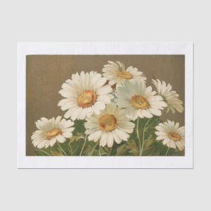 Vintage Daisy Tissue Paper