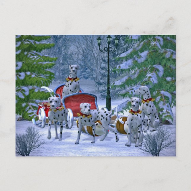 Vintage Dalmatian Sleigh Snow Christmas Postcard (Front)