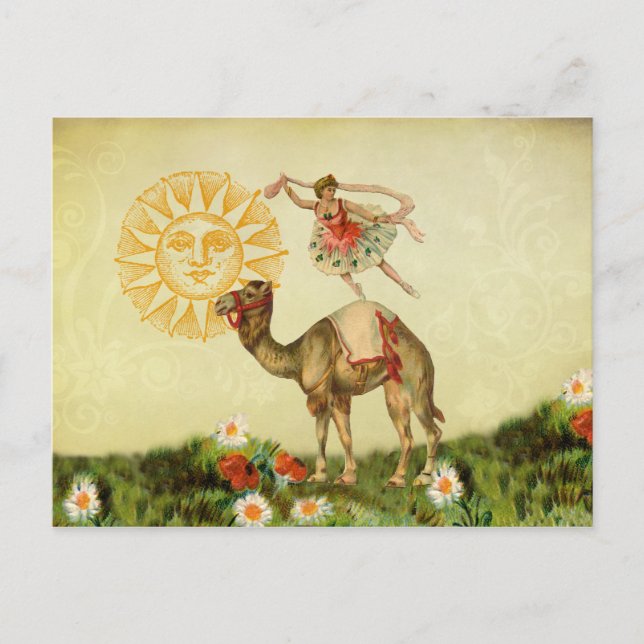 Vintage Dancer on a Camel Postcard (Front)