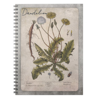 Vintage Dandelion Botanical Illustration Notebook