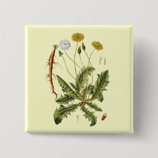 Vintage Dandelion Illustration 15 Cm Square Badge (Front)
