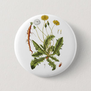 Vintage Dandelion Illustration 6 Cm Round Badge