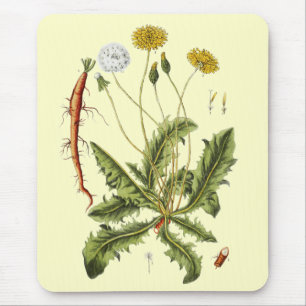 Vintage Dandelion Illustration Mouse Pad