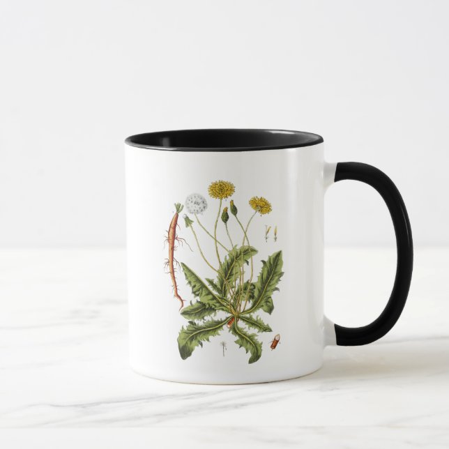 Vintage Dandelion Illustration Mug (Right)