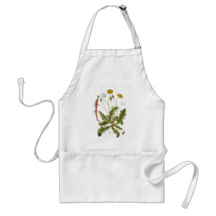 Vintage Dandelion Illustration Standard Apron