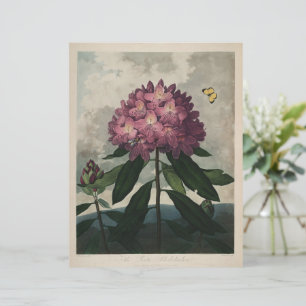 Vintage Dark Academia Botanical Print