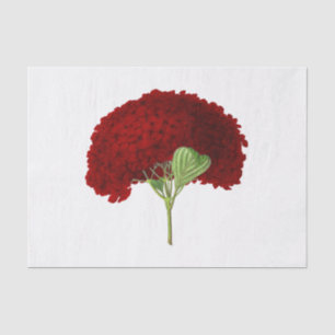 Vintage Deep Red Hydrangea Flower Floral Tissue Paper