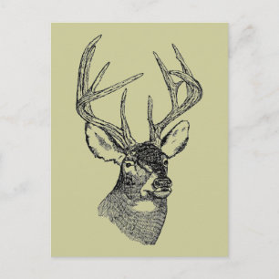 Vintage deer art graphic postcard