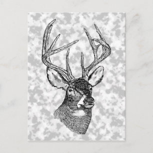 Vintage deer art graphic postcard