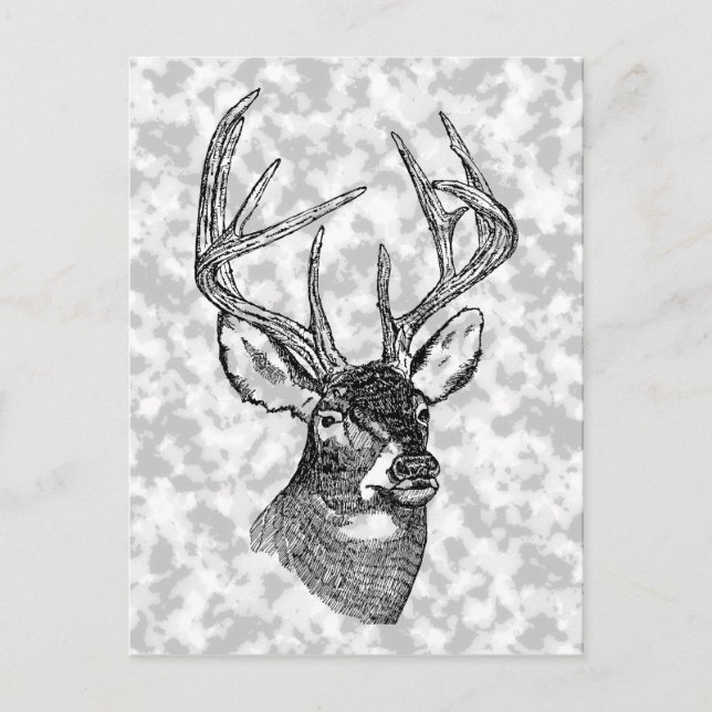 Vintage deer art graphic postcard (Front)