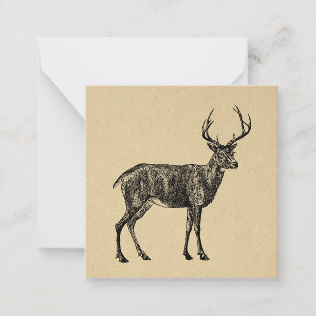 Vintage Deer Art Illustrated Deer Card (Front)