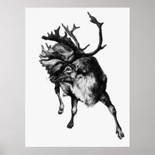 Vintage Deer Illustration Poster