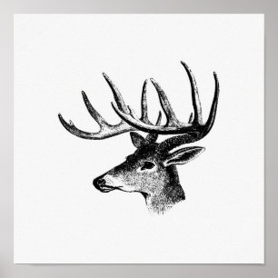 Vintage Deer Illustration Poster