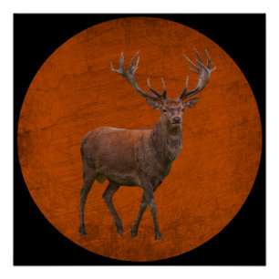 vintage deer in orange nature poster