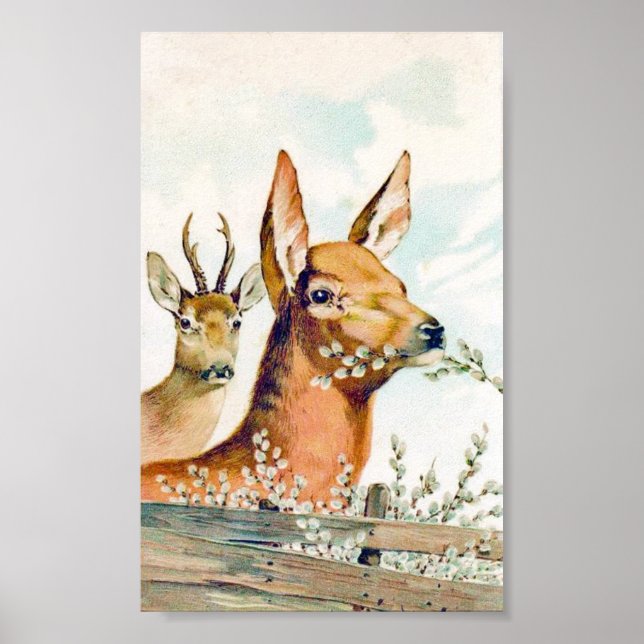 Vintage Deer Poster (Front)
