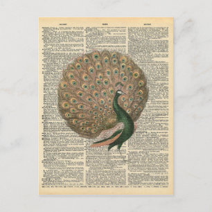 Vintage Dictionary Art Beautiful Peacock Bird Postcard