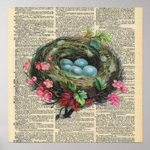 Vintage Dictionary Bird's Nest  Poster