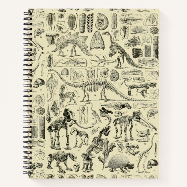 Vintage Dinosaur Bone Fossils Art Notebook (Front)