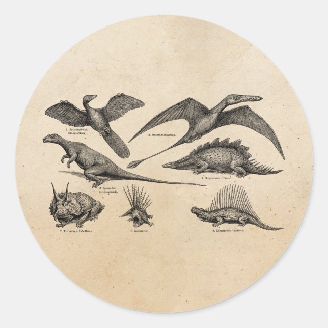 Vintage Dinosaur Illustration Retro Dinosaurs Classic Round Sticker (Front)