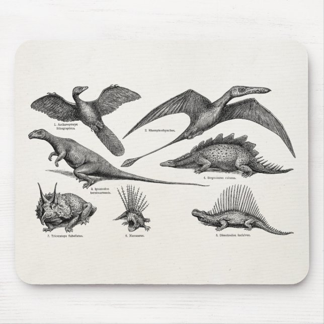 Vintage Dinosaur Illustration Retro Dinosaurs Mouse Pad (Front)