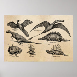 Vintage Dinosaur Illustration Retro Dinosaurs Poster