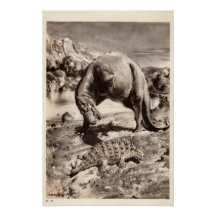 Vintage Dinosaur Print #2