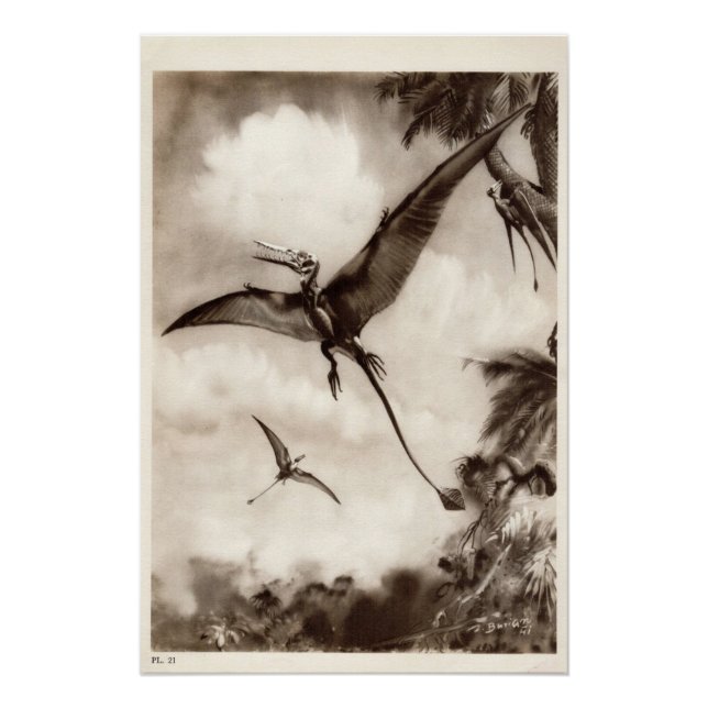 Vintage dinosaur print #3 (Front)