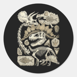 Vintage Dinosaur Skeleton Fragments Paleontology Classic Round Sticker