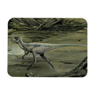 Vintage Dinosaurs, a Cretaceous Hypsilophodon Magnet