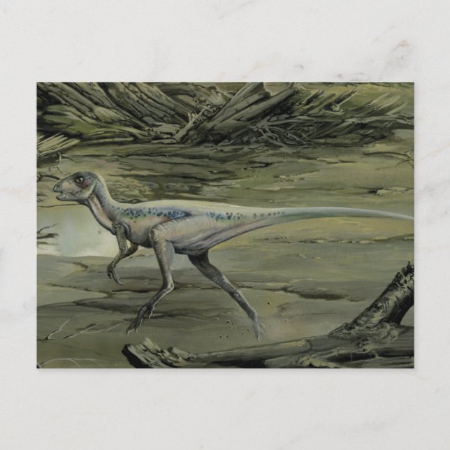 Vintage Dinosaurs, a Cretaceous Hypsilophodon Postcard (Front)