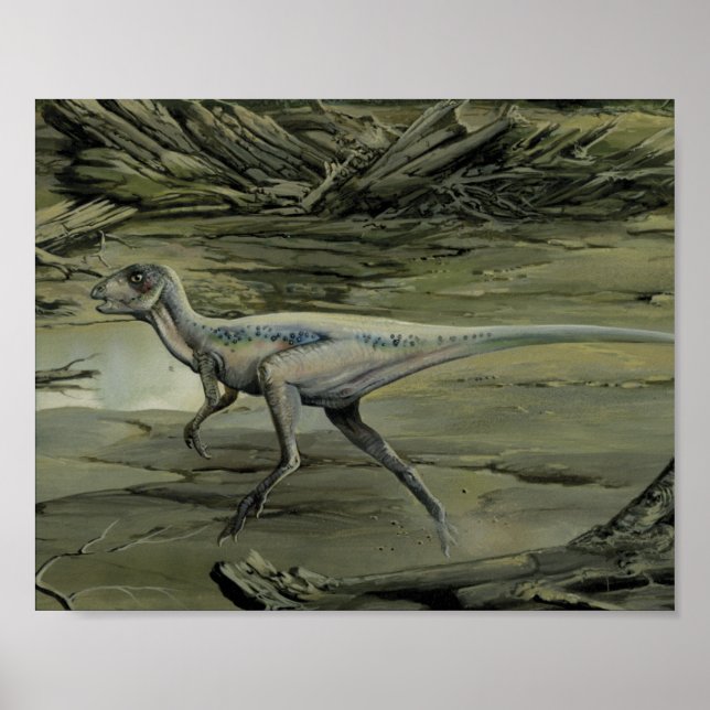 Vintage Dinosaurs, a Cretaceous Hypsilophodon Poster (Front)