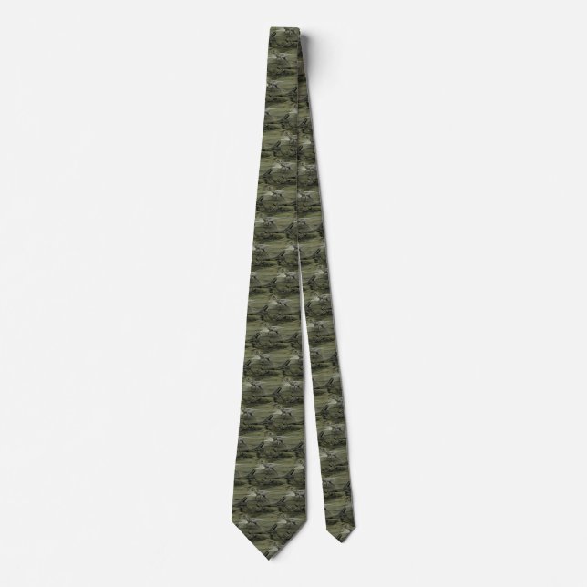 Vintage Dinosaurs, a Cretaceous Hypsilophodon Tie (Front)