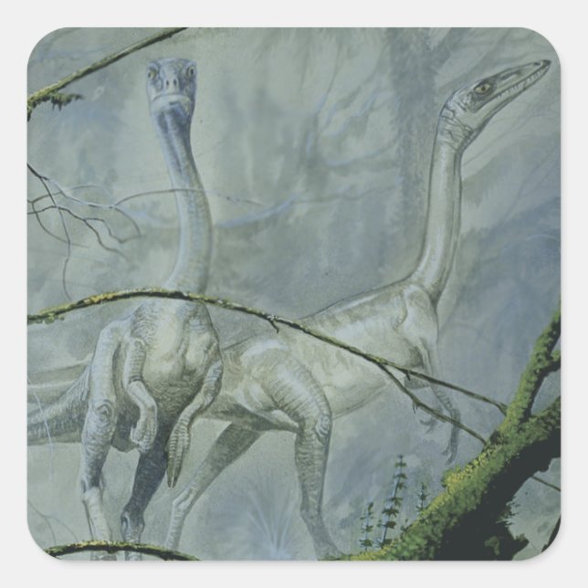 Vintage Dinosaurs, Megapnosaurus aka Syntarsus Square Sticker (Front)