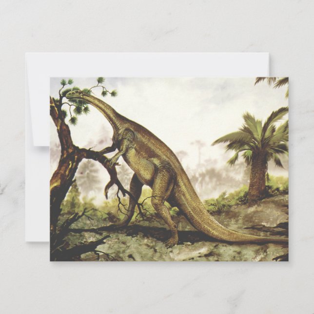Vintage Dinosaurs, Plateosaurus Grazing on Trees (Front)