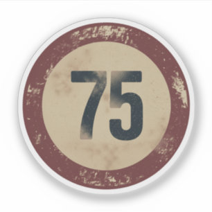 Vintage Distressed Number 75