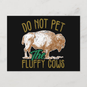 Vintage Do Not Pet the Fluffy Cows American Bison Postcard
