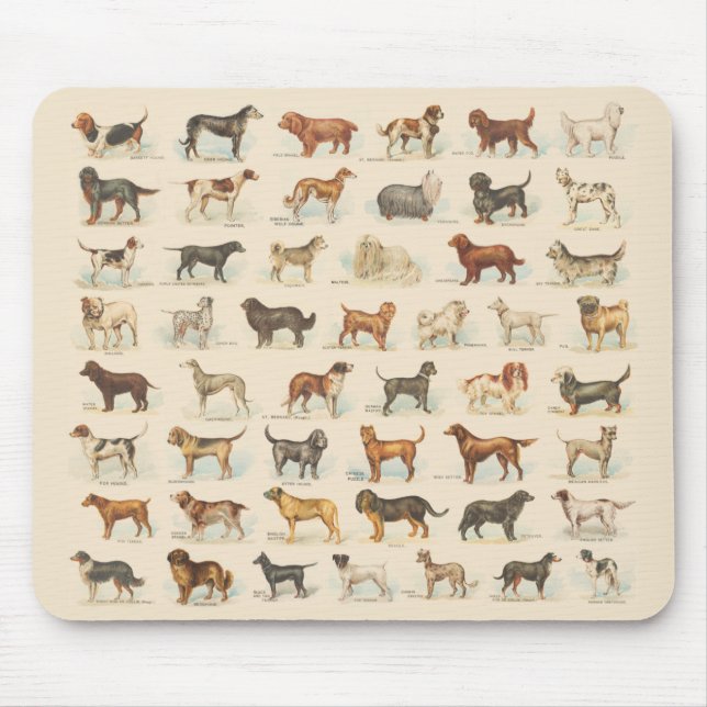 Vintage Dog Breed Drawings Mouse Pad (Front)