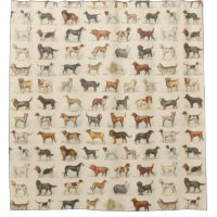Vintage Dog Breed Drawings  Shower Curtain