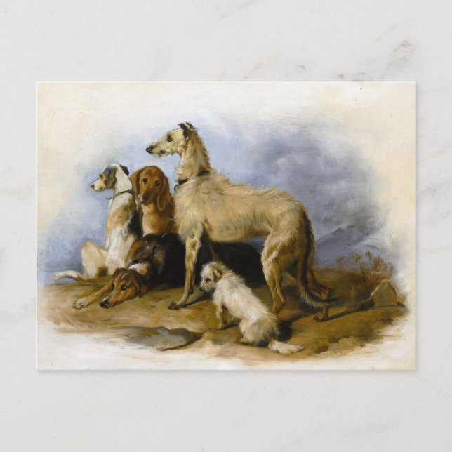 Vintage Dog Breeds Print Postcard (Front)