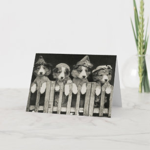 Vintage Dog Greeting Card