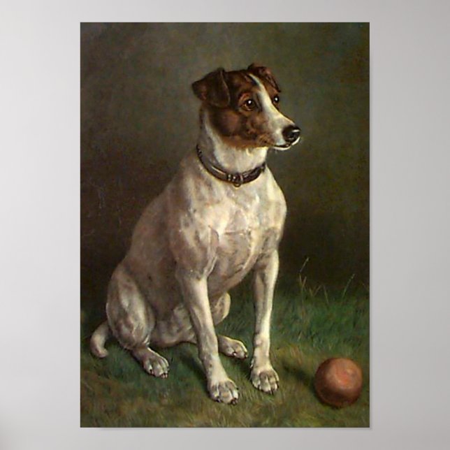 Vintage Dog Image Poster (Front)