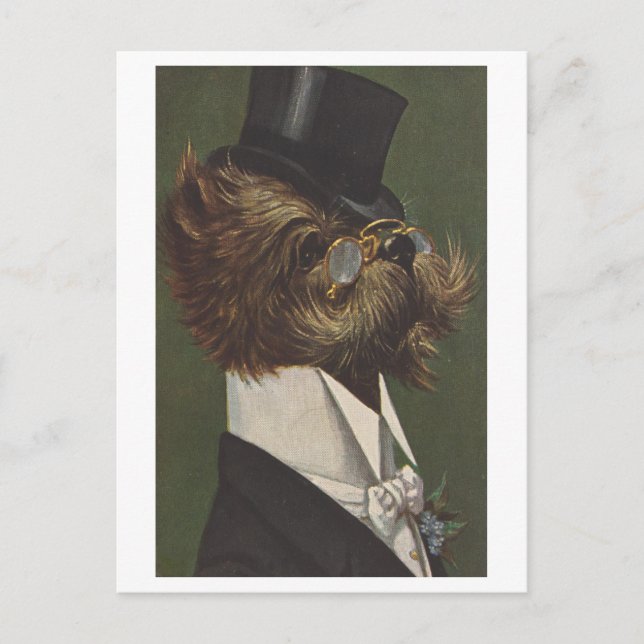 Vintage Dog in Evening Clothes with Glasses Postcard (Front)