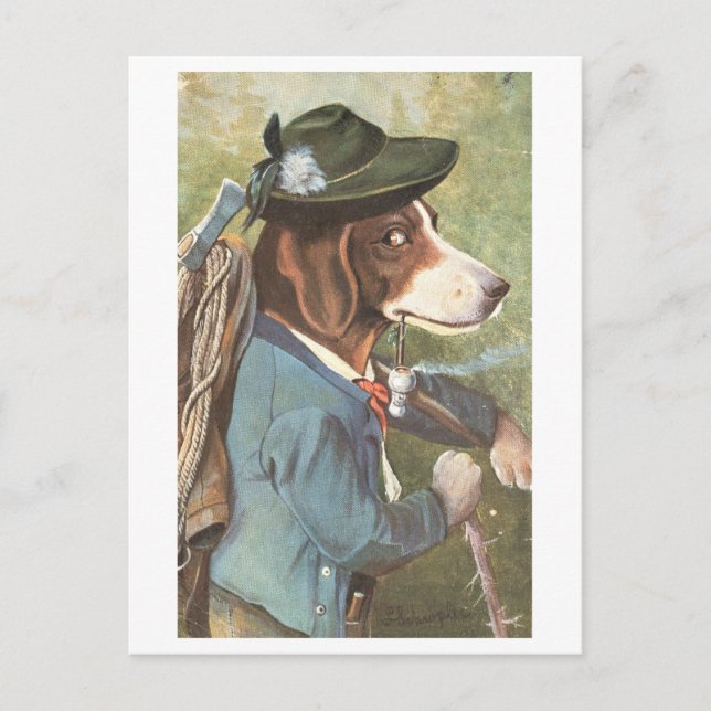 Vintage Dog in Hiking Clothes Postcard (Front)