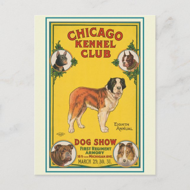Vintage Dog Show Chicago Kennel Club Poster Postcard (Front)