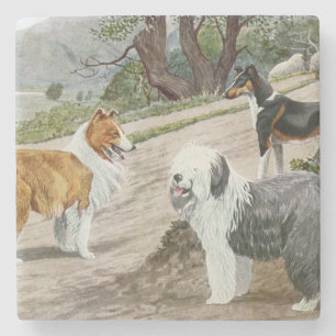 Vintage Dog Trio Stone Coaster
