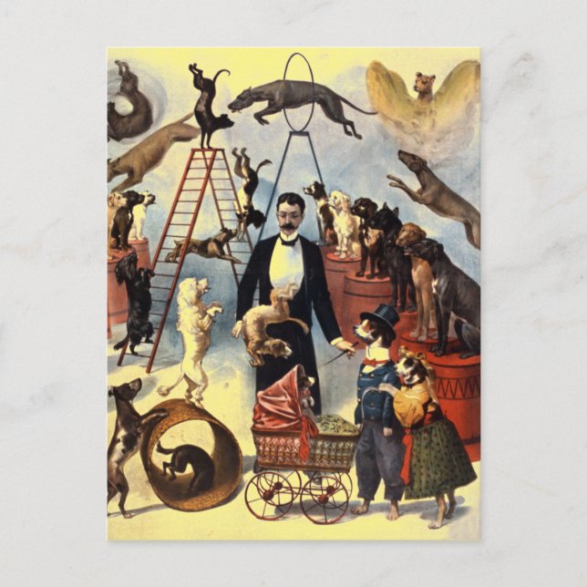 Vintage Dogs Circus Illustration Art Old Antique Postcard (Front)