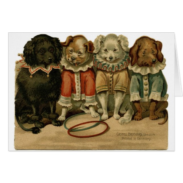 Vintage - Dogs in Clown Suits, (Front Horizontal)