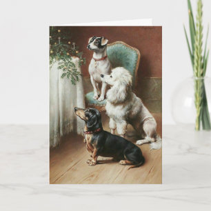 Vintage - Dogs Wait for Christmas Holiday Card