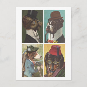 Vintage Dogs Wearing Clothes Postcard