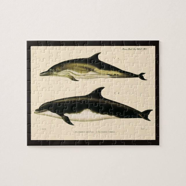Vintage Dolphins, Marine Animals and Mammals Jigsaw Puzzle (Horizontal)